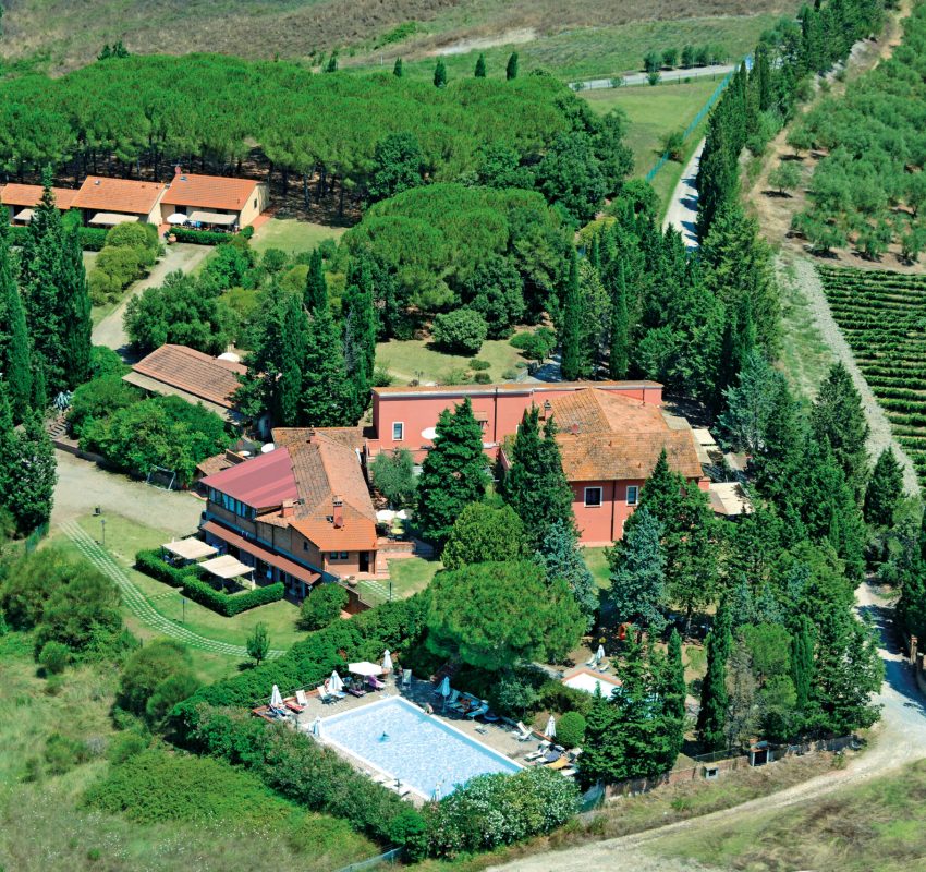Collinella_1085